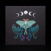 Luna Moth Light Up Canvas Plaque