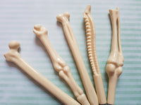 skeleton bone pens (set of 5)